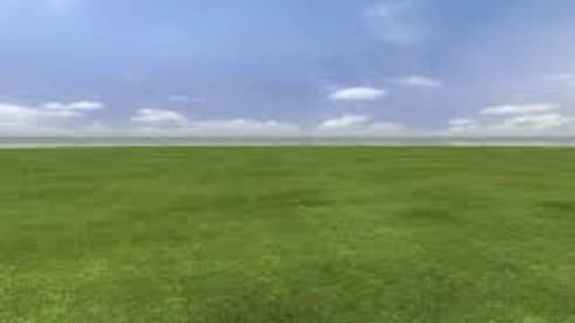 Thumbnail for LOOK AT THIS C00L FIELD!