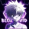 BloxVid's profile picture