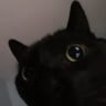 CALAPSWAVE's profile picture